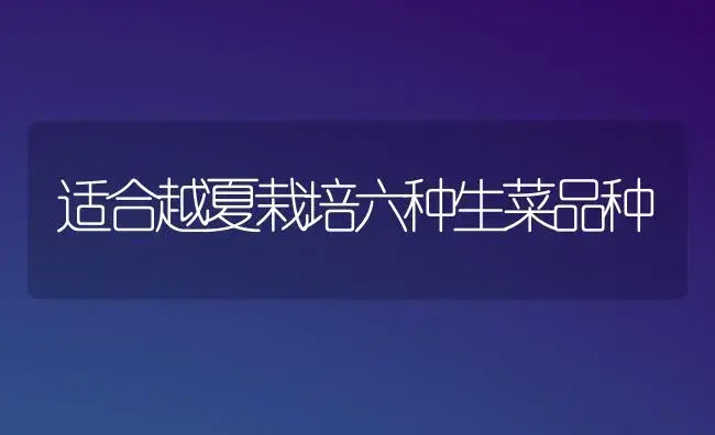 适合越夏栽培六种生菜品种 | 植物科普