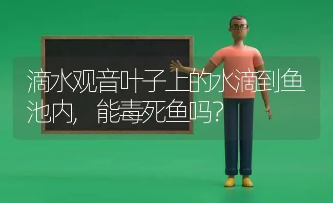 滴水观音叶子上的水滴到鱼池内,能毒死鱼吗？ | 植物问答