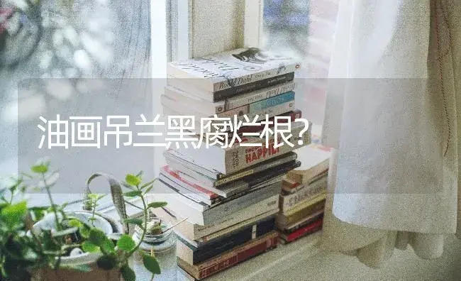 油画吊兰黑腐烂根？ | 植物问答