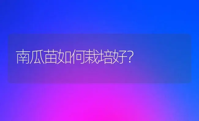 南瓜苗如何栽培好？ | 植物科普