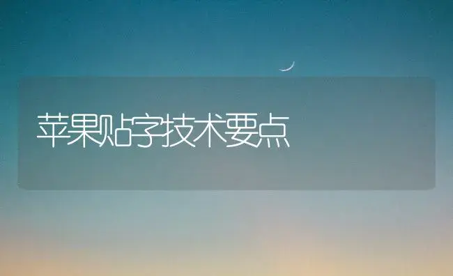 苹果贴字技术要点 | 植物百科