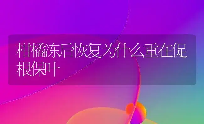 柑橘冻后恢复为什么重在促根保叶 | 植物百科