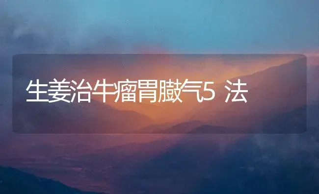 生姜治牛瘤胃臌气5法 | 植物百科
