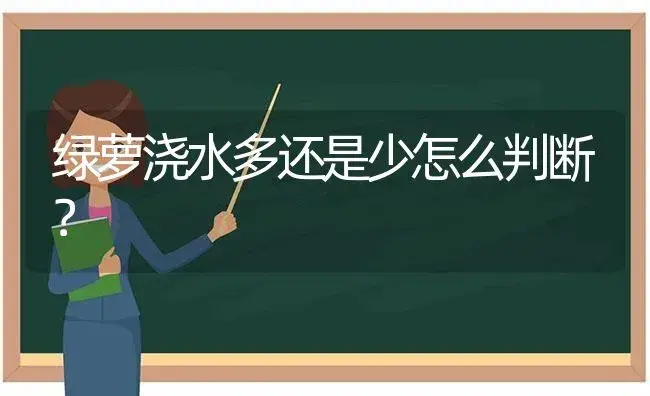 绿萝浇水多还是少怎么判断？ | 植物问答