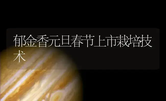 郁金香元旦春节上市栽培技术 | 植物知识