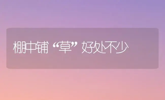 棚中铺“草”好处不少 | 植物科普