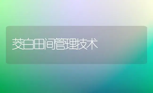 茭白田间管理技术 | 植物科普
