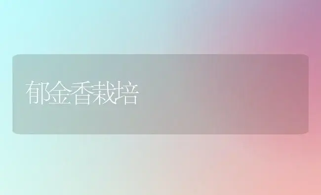 郁金香栽培 | 植物知识