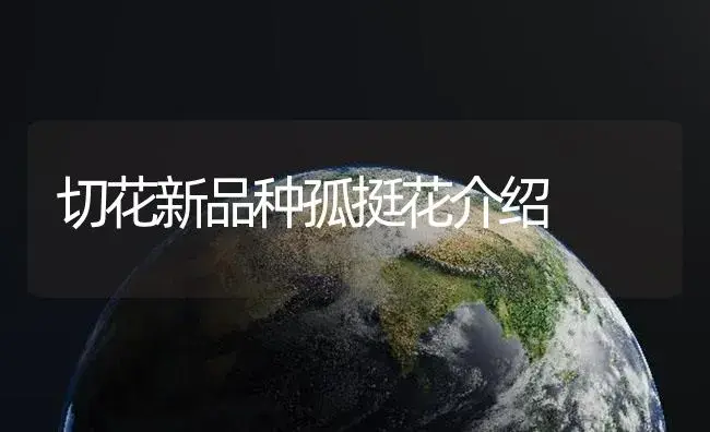 切花新品种孤挺花介绍 | 植物知识