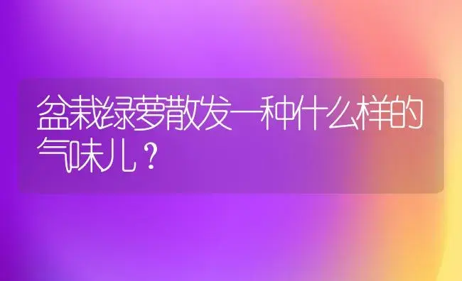 盆栽绿萝散发一种什么样的气味儿？ | 植物问答