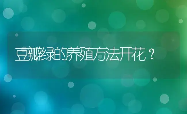 豆瓣绿的养殖方法开花？ | 植物问答