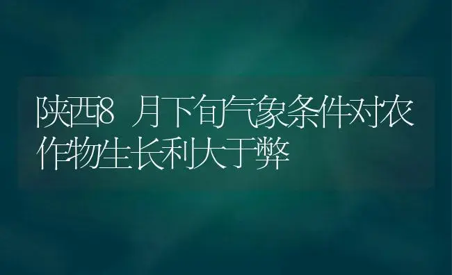 陕西8月下旬气象条件对农作物生长利大于弊 | 植物科普