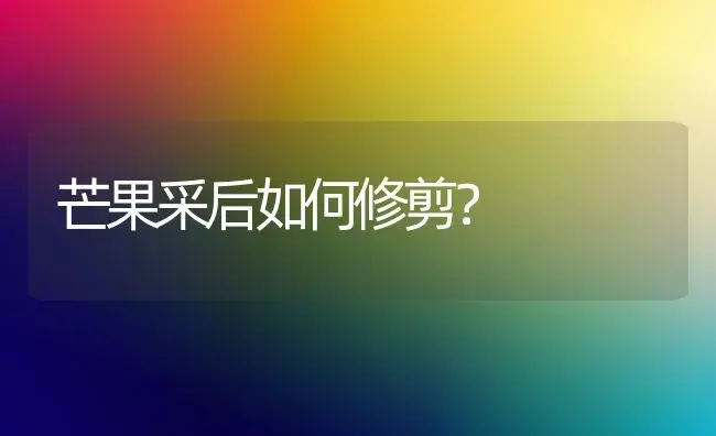 芒果采后如何修剪？ | 植物科普