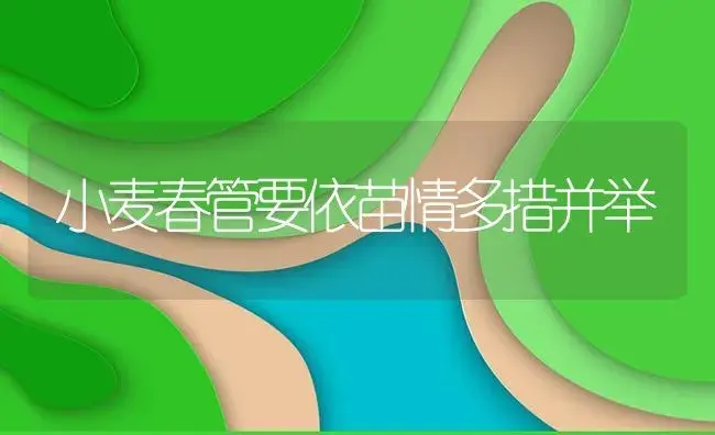 小麦春管要依苗情多措并举 | 植物资料