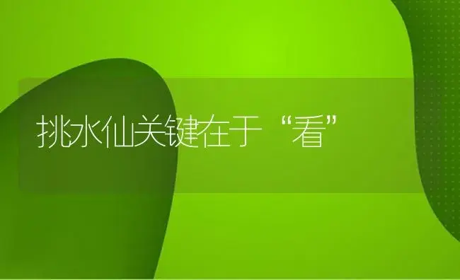 挑水仙关键在于“看” | 植物科普