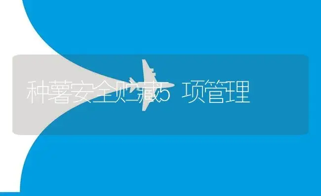 种薯安全贮藏5项管理 | 植物资料
