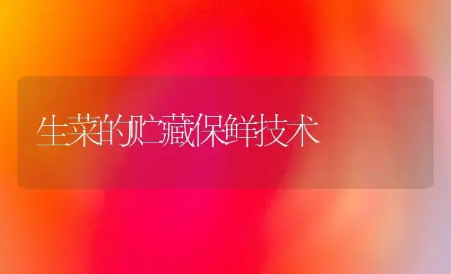 生菜的贮藏保鲜技术 | 植物科普