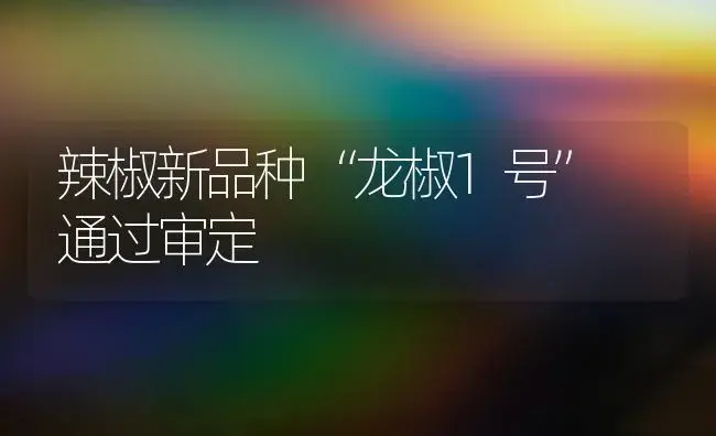 辣椒新品种“龙椒1号” 通过审定 | 植物百科