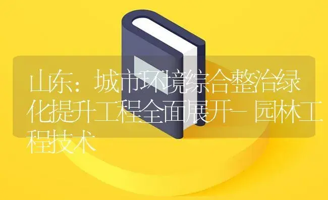 山东：城市环境综合整治绿化提升工程全面展开-园林工程技术 | 植物知识