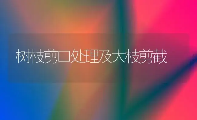 树枝剪口处理及大枝剪截 | 植物科普