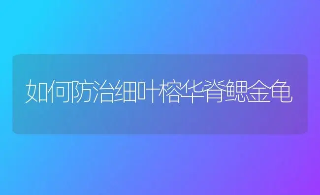 如何防治细叶榕华脊鳃金龟 | 植物知识