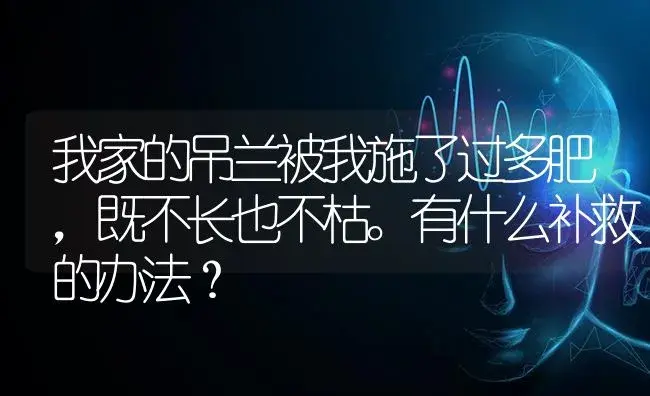 我家的吊兰被我施了过多肥，既不长也不枯。有什么补救的办法？ | 植物问答