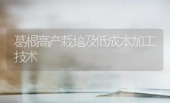 葛根高产栽培及低成本加工技术 | 植物百科