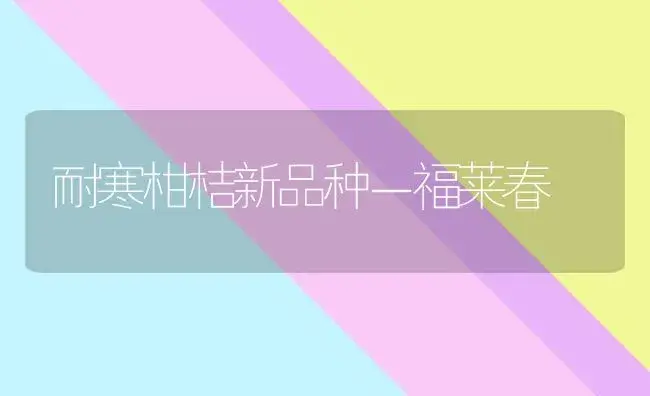 耐寒柑桔新品种－福莱春 | 植物百科