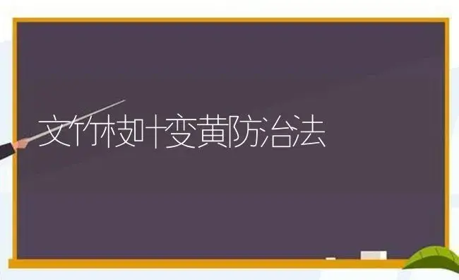 文竹枝叶变黄防治法 | 植物科普