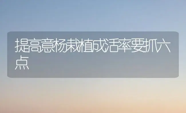 提高意杨栽植成活率要抓六点 | 植物知识
