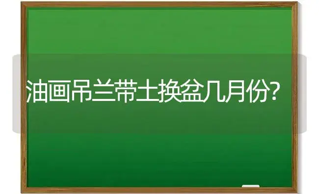 油画吊兰带土换盆几月份？ | 植物问答