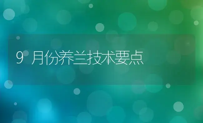 9月份养兰技术要点 | 植物科普