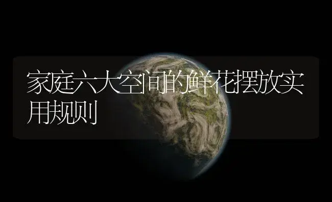 家庭六大空间的鲜花摆放实用规则 | 植物知识
