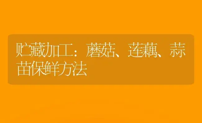 贮藏加工：蘑菇、莲藕、蒜苗保鲜方法 | 植物科普