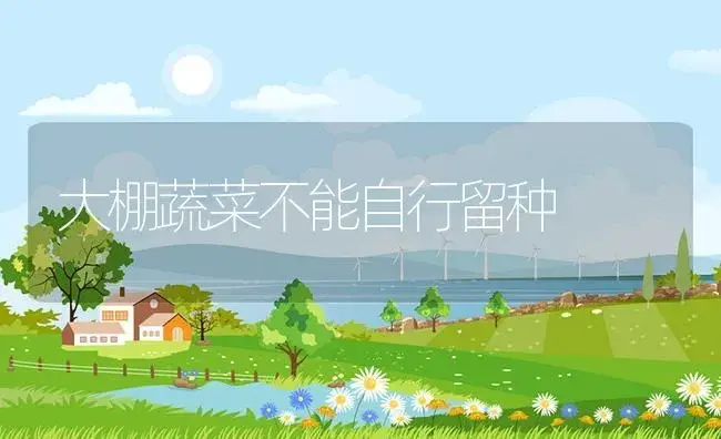 大棚蔬菜不能自行留种 | 植物资料