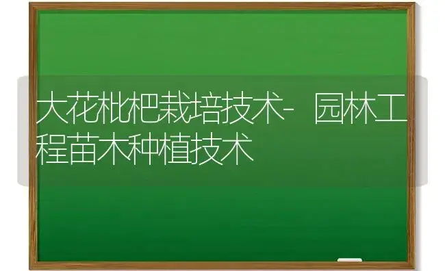 大花枇杷栽培技术-园林工程苗木种植技术 | 植物科普