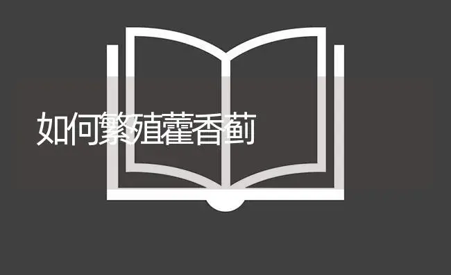 如何繁殖藿香蓟 | 植物知识