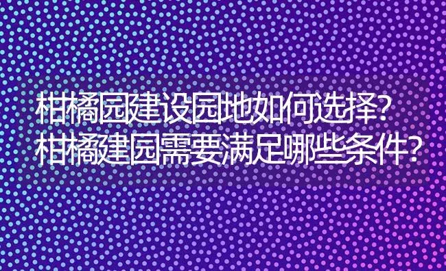 柑橘园建设园地如何选择？柑橘建园需要满足哪些条件？ | 植物百科