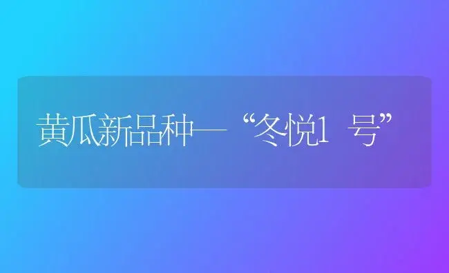 黄瓜新品种—“冬悦1号” | 植物科普