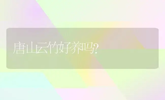 唐山云竹好养吗？ | 植物问答