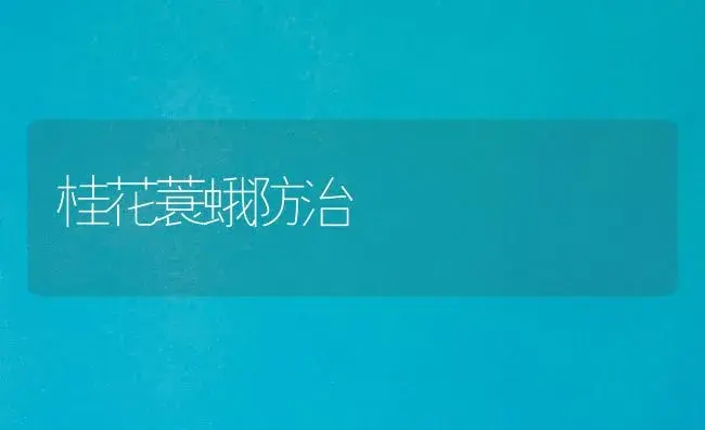 桂花蓑蛾防治 | 植物知识