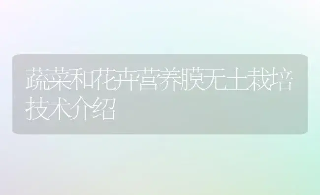 蔬菜和花卉营养膜无土栽培技术介绍 | 植物科普