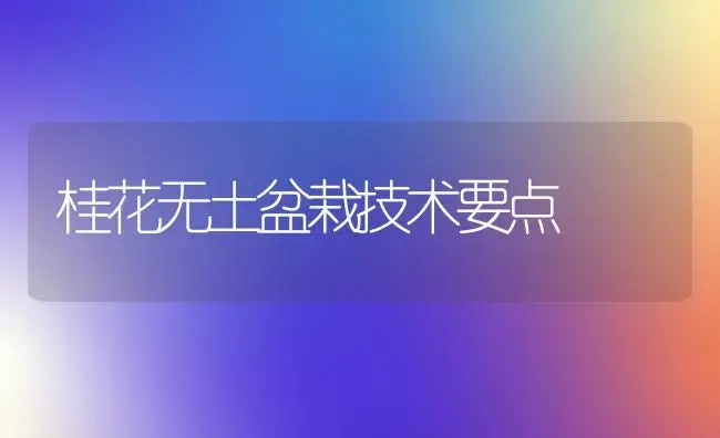 桂花无土盆栽技术要点 | 植物科普