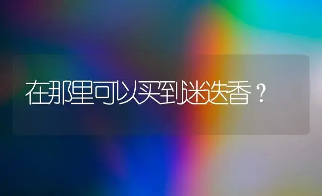 在那里可以买到迷迭香？ | 植物问答
