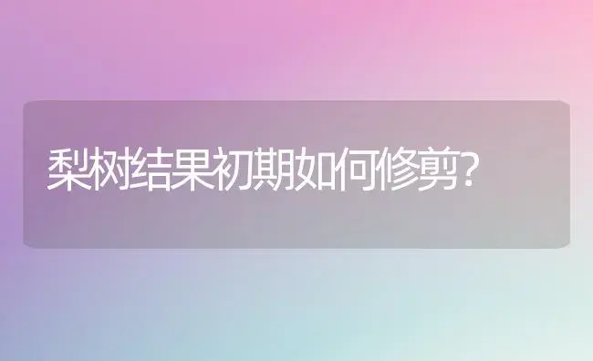 梨树结果初期如何修剪？ | 植物科普