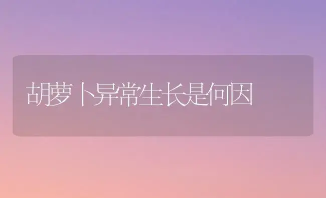 胡萝卜异常生长是何因 | 植物科普