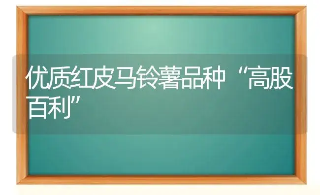 西瓜“疯秧”的四种控制方法 | 植物科普