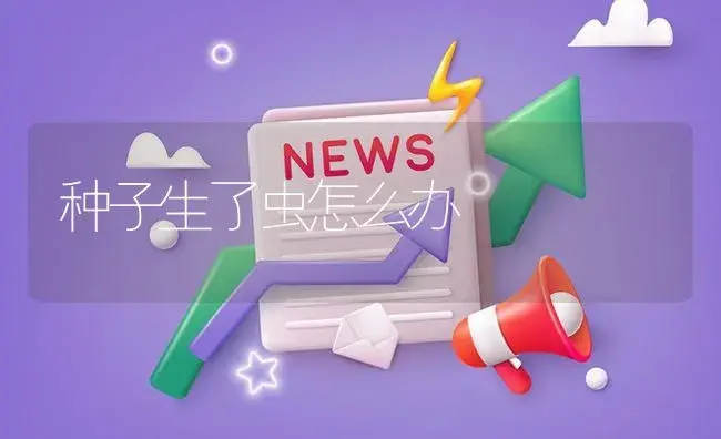 种子生了虫怎么办 | 植物资料