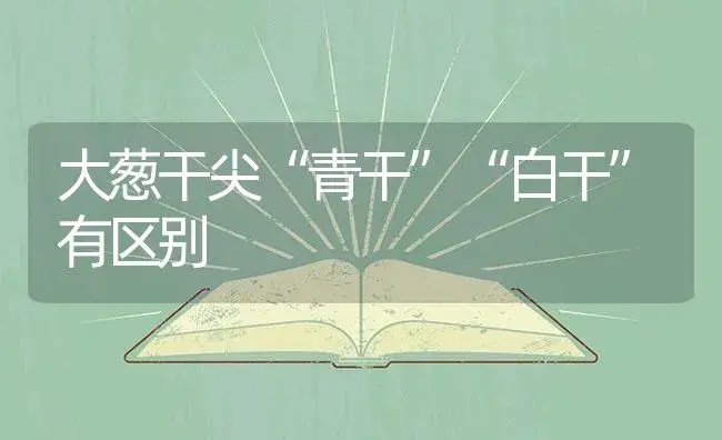 咋有效预防石榴“裂口” | 植物百科