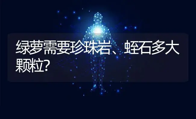 绿萝需要珍珠岩、蛭石多大颗粒？ | 植物问答